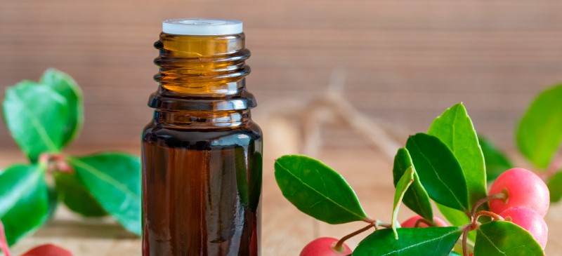 Wintergreen oil - Dr. Axe