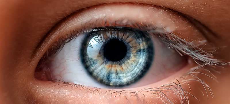 Eye vitamins - Dr. Axe